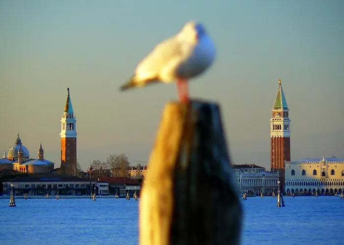 Villa Venice Movie
