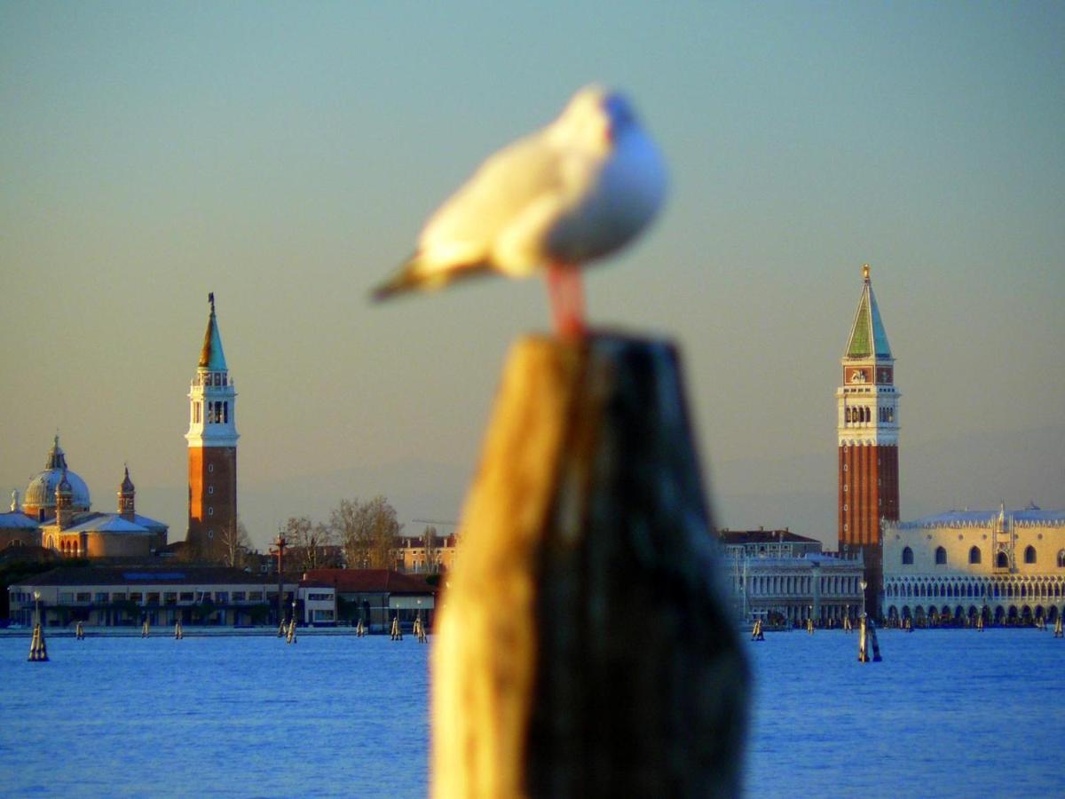 Pensión Venice Movie